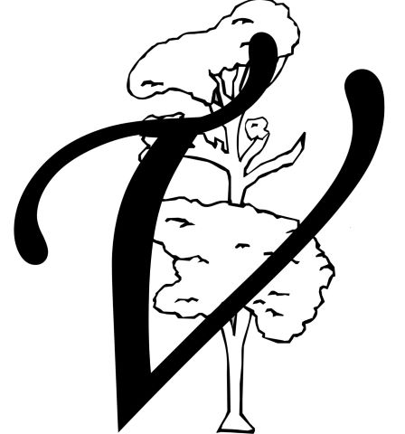 Asociación de 3° Edad Tagoro Victoriero